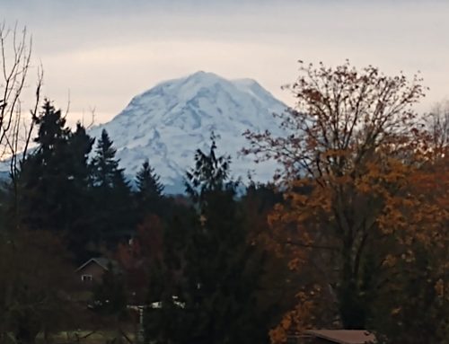 View of Mt. Rainier
